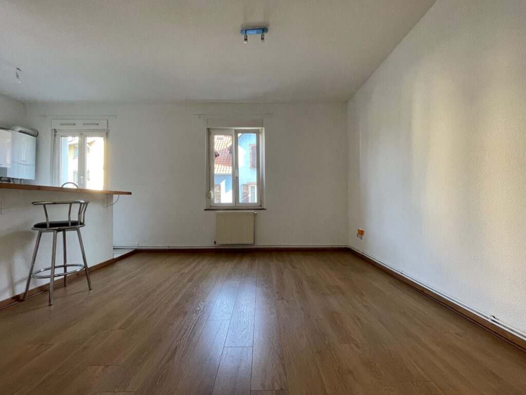 Location Schiltigheim - non meublée - 1 chambre - 41m2 - 2 pièces