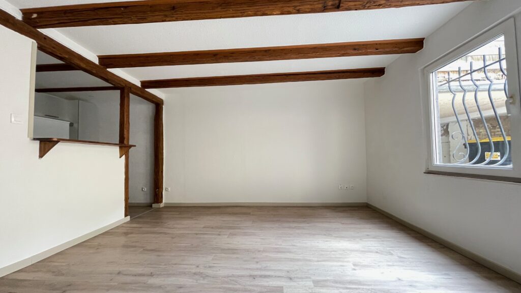 Location Schiltigheim - non meublée - 1 chambre - 36m2 - 2 pièces