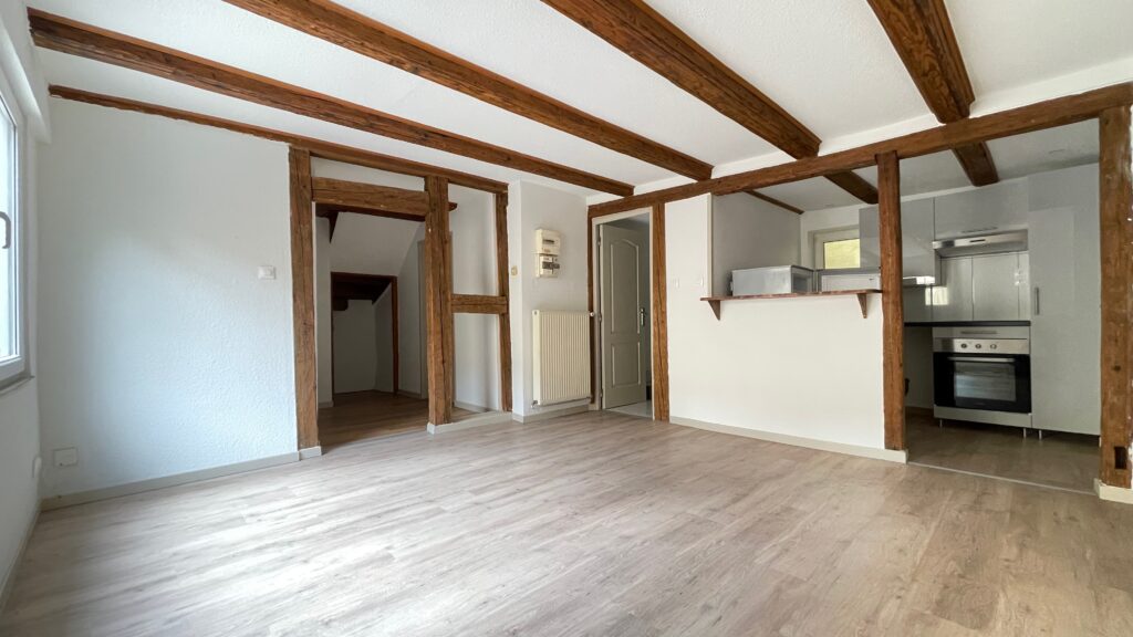 Location Schiltigheim - non meublée - 1 chambre - 36m2 - 2 pièces